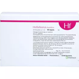 HELLEBORUS FOETIDUS aquos. D 3 ampuller, 50X1 ml