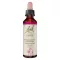 BACHBLÜTEN Lærkedråber, 20 ml