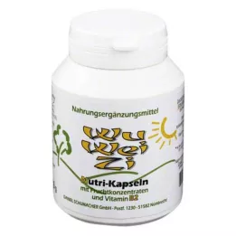 WU WEI ZI Nutri kapsler til kosttilskud, 120 stk