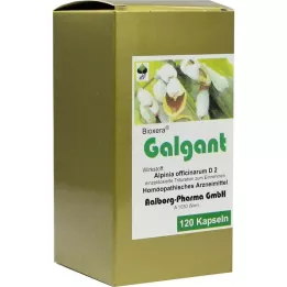 GALGANT KAPSLER, 120 stk
