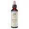 BACHBLÜTEN Vindråber, 20 ml