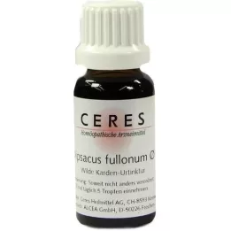 CERES Dipsacus fullonum modertinktur, 20 ml