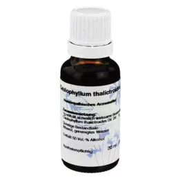 CAULOPHYLLUM D6 Fortynding, 20 ml