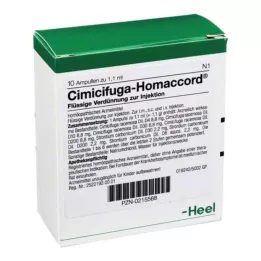 CIMICIFUGA HOMACCORD Ampuller, 10 stk