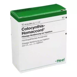 COLOCYNTHIS HOMACCORD Ampuller, 10 stk