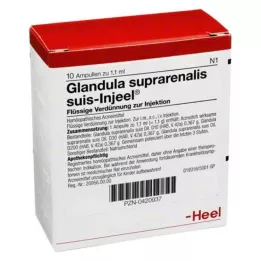 GLANDULA SUPRARENALIS suis Injeel ampuller, 10 stk
