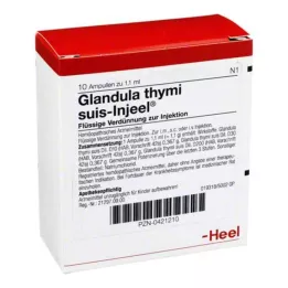 GLANDULA THYMI suis Injeel ampuller, 10 stk