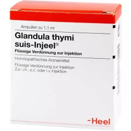GLANDULA THYMI suis Injeel ampuller, 100 stk