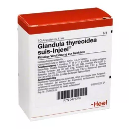 GLANDULA THYREOIDEA suis Injeel ampuller, 10 stk