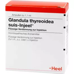 GLANDULA THYREOIDEA suis Injeel ampuller, 100 stk