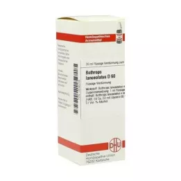 BOTHROPS lanceolatus D 60 Fortynding, 20 ml