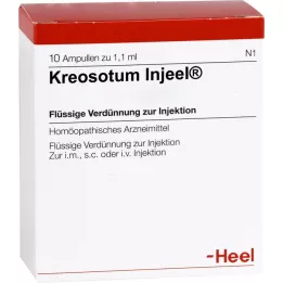KREOSOTUM INJEEL Ampuller, 10 stk