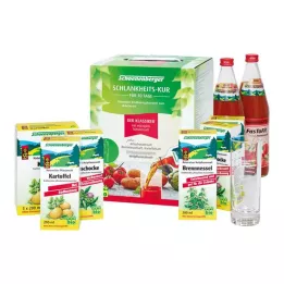 SCHLANKHEITSKUR Classic Schoenenberger, 1 P
