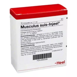 MUSCULUS SUIS Injeel ampuller, 10 stk