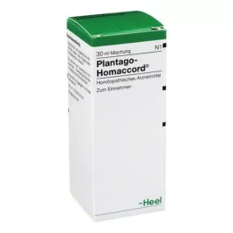 PLANTAGO HOMACCORD Dråber, 30 ml