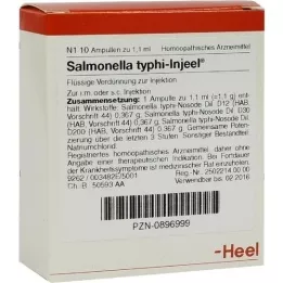 SALMONELLA TYPHI Injeel ampuller, 10 stk