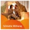 VOLTAREN Dolo 25 mg overtrukne tabletter, 20 stk