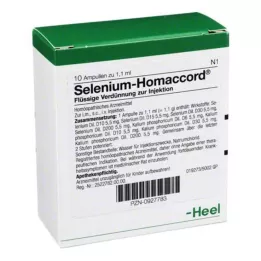 SELENIUM HOMACCORD Ampuller, 10 stk