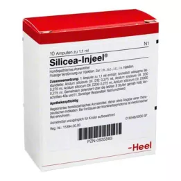 SILICEA INJEEL Ampuller, 10 stk