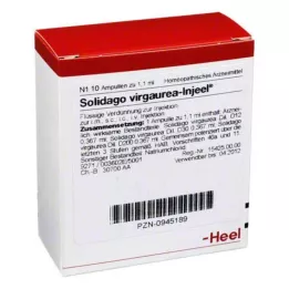 SOLIDAGO VIRGAUREA INJEEL Ampuller, 10 stk