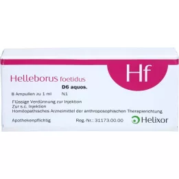HELLEBORUS FOETIDUS aquos. D 6 ampuller, 8X1 ml