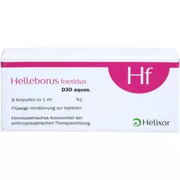 HELLEBORUS FOETIDUS aquos. D 30 ampuller, 8X1 ml
