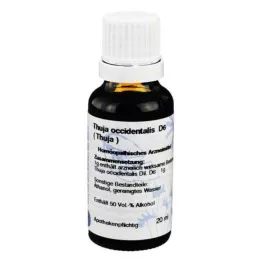 THUJA D6 Fortynding, 20 ml