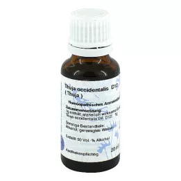 THUJA D 12 Fortynding, 20 ml
