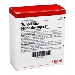 TONSILLITIS Nosode Injeel ampuller, 10 stk