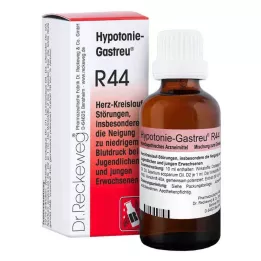 HYPOTONIE-GASTREU R44 blanding, 22 ml