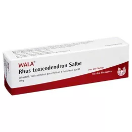 RHUS TOXICODENDRON SALVE, 30 g