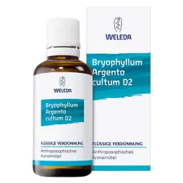 BRYOPHYLLUM ARGENTO cultum D 2 Fortynding, 50 ml