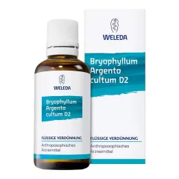 BRYOPHYLLUM ARGENTO cultum D 3 Fortynding, 50 ml