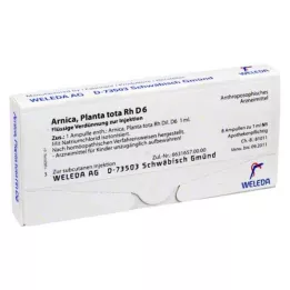 ARNICA PLANTA tota Rh D 6 ampuller, 8X1 ml