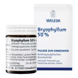 BRYOPHYLLUM 50% pulver til oral brug, 50 g
