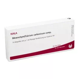 MESENCHYM/CALCIUM carbonicum komp. ampuller, 10X1 ml