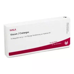 VISCUM CRATAEGUS Ampuller, 10X1 ml
