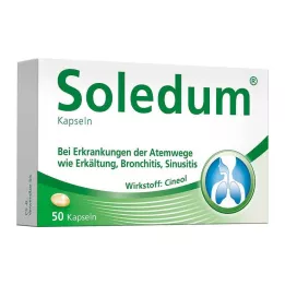 SOLEDUM 100 mg gastro-resistente kapsler, 50 stk