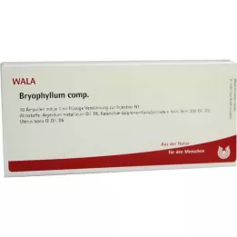 BRYOPHYLLUM COMP.Ampuller, 10X1 ml