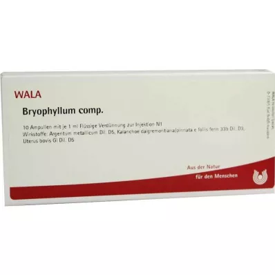 BRYOPHYLLUM COMP.Ampuller, 10X1 ml