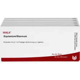 EQUISETUM/STANNUM Ampuller, 50X1 ml