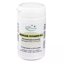 PANGAM Vitamin B15 kapsler, 60 stk