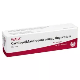 CARTILAGO/Mandragora comp Unguentum, 30 g