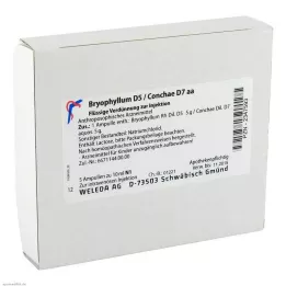 BRYOPHYLLUM D 5/Conchae D 7 ampuller, 5X10 ml