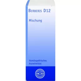 BERBERIS D 12 Fortynding, 20 ml