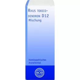 RHUS TOXICODENDRON D 12 Fortynding, 20 ml