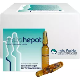 METAHEPAT Injektionsvæske, opløsning, 500X2 ml