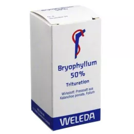 BRYOPHYLLUM 50% pulver til oral brug, 20 g