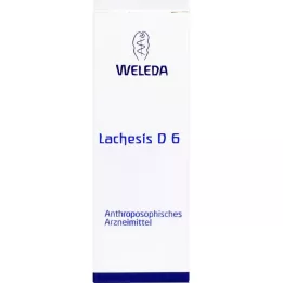 LACHESIS D6 Fortynding, 50 ml