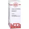 CLEMATIS Moder tinktur, 20 ml